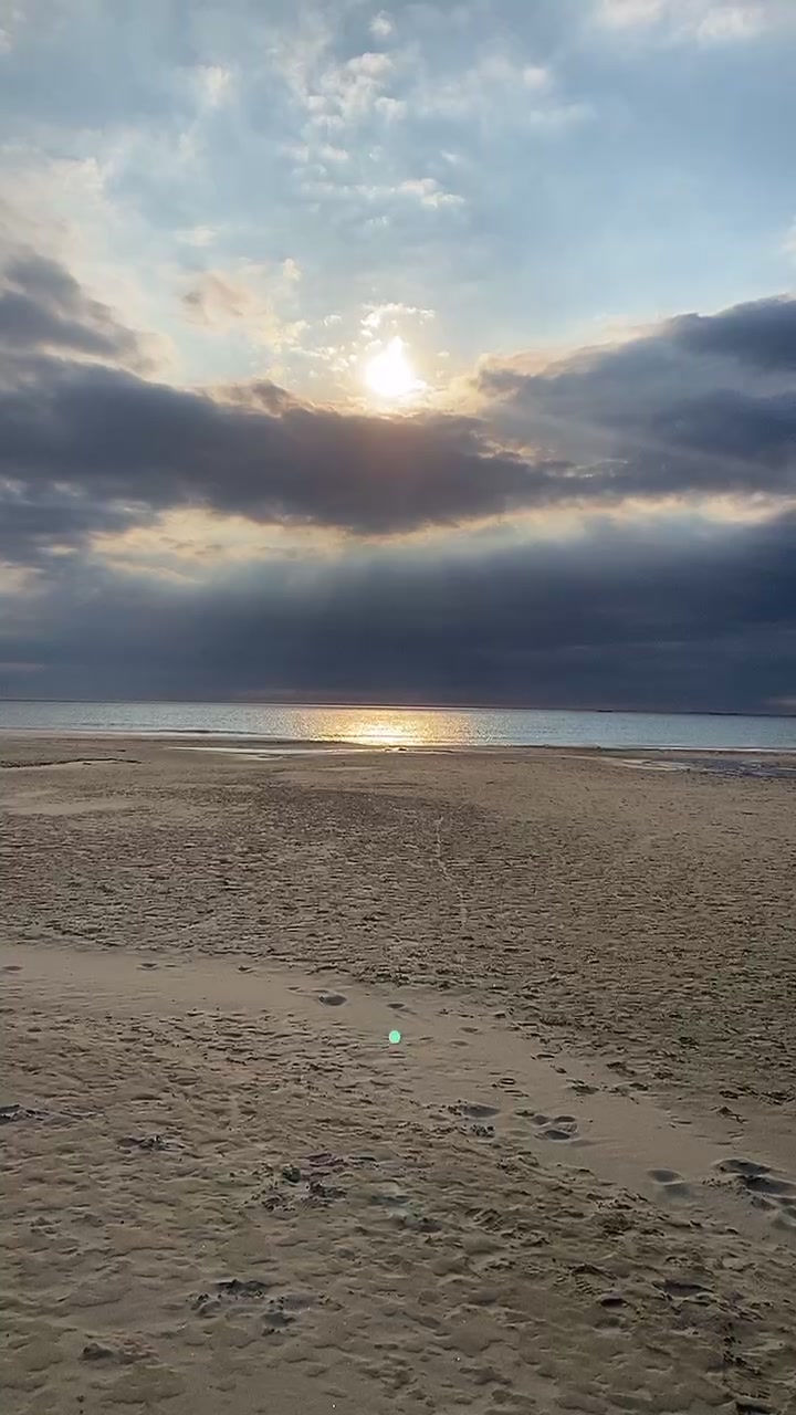 @🖤