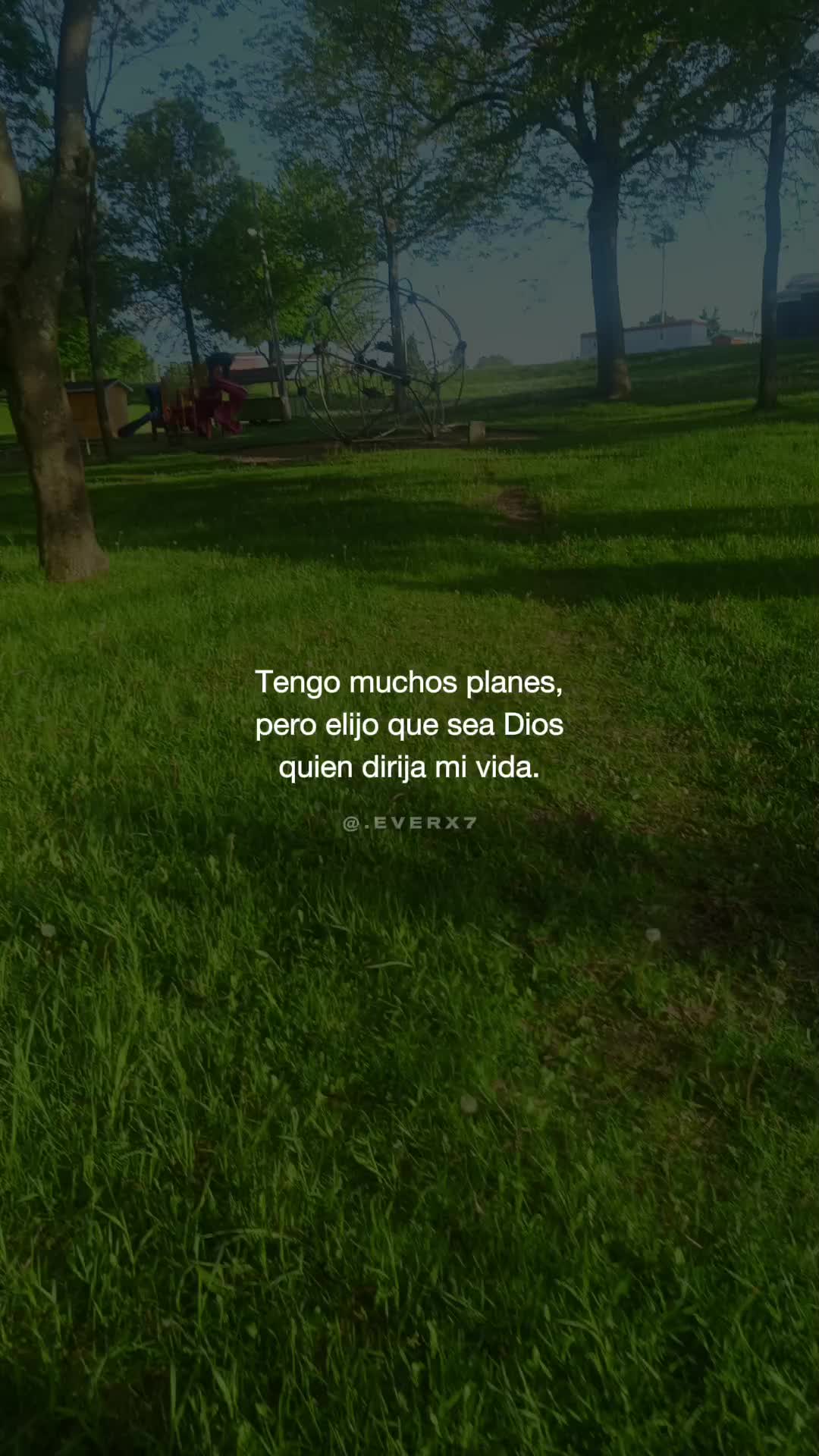 @incaparina_no.1