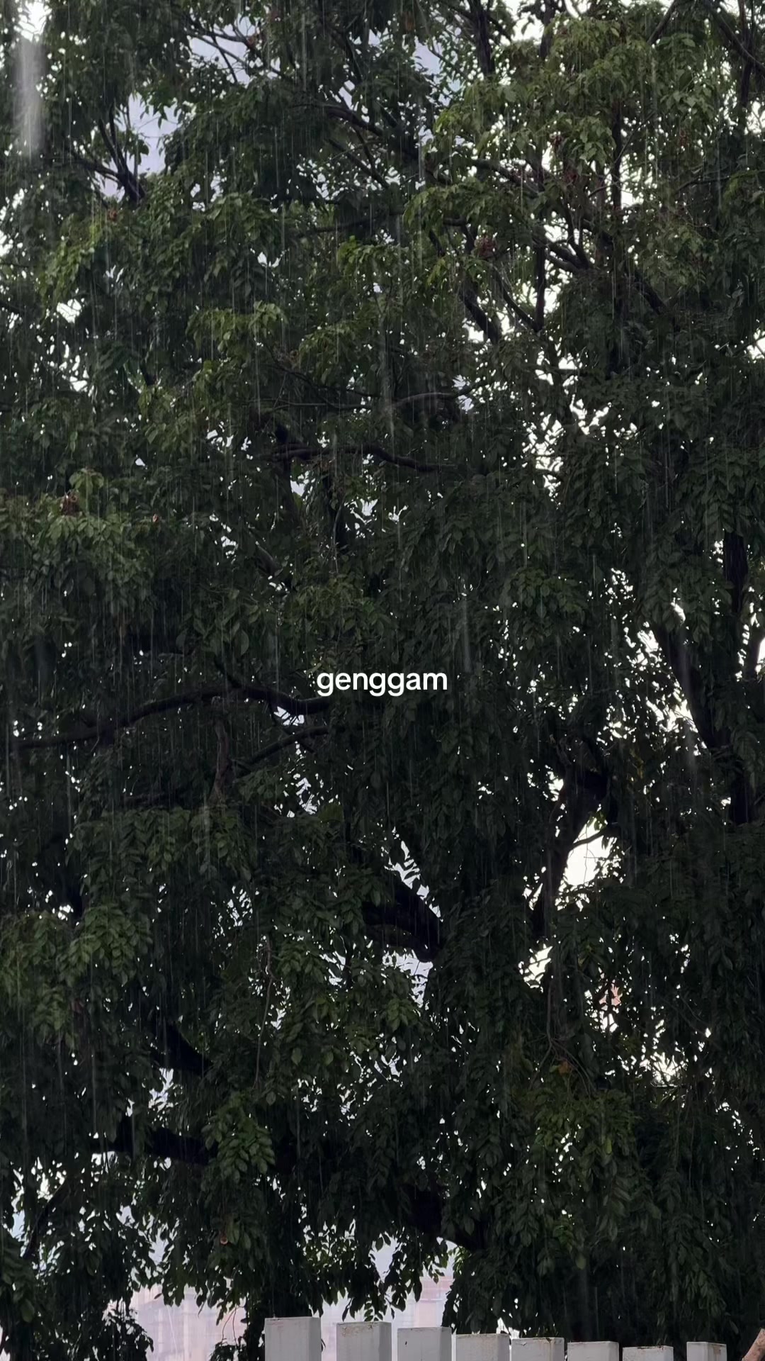 @ᴖ̈