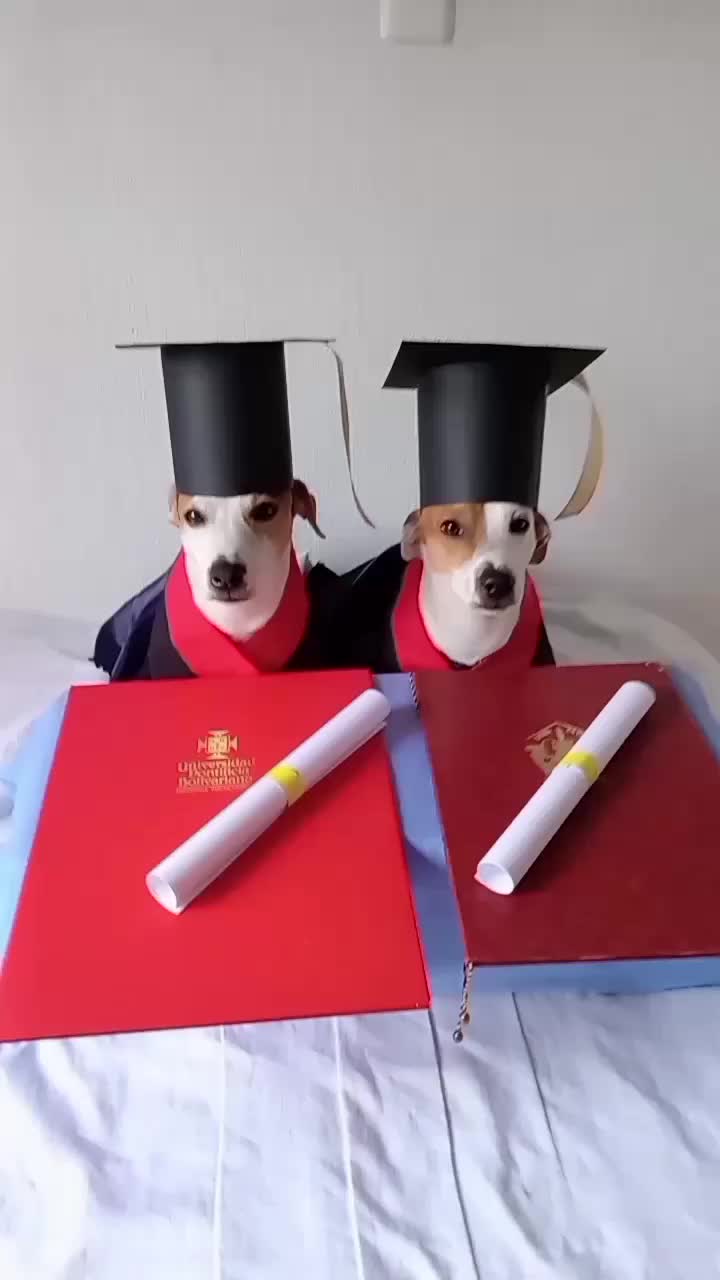 @BRUNO Y MAILO JACKRUSSEL