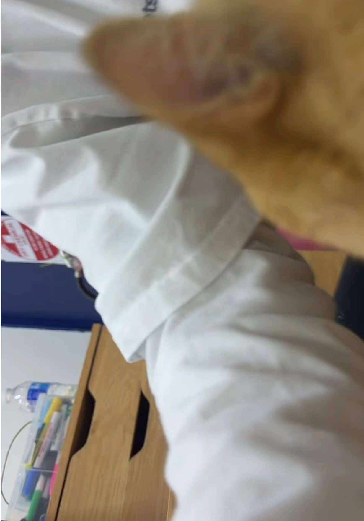 @Vets for Pets