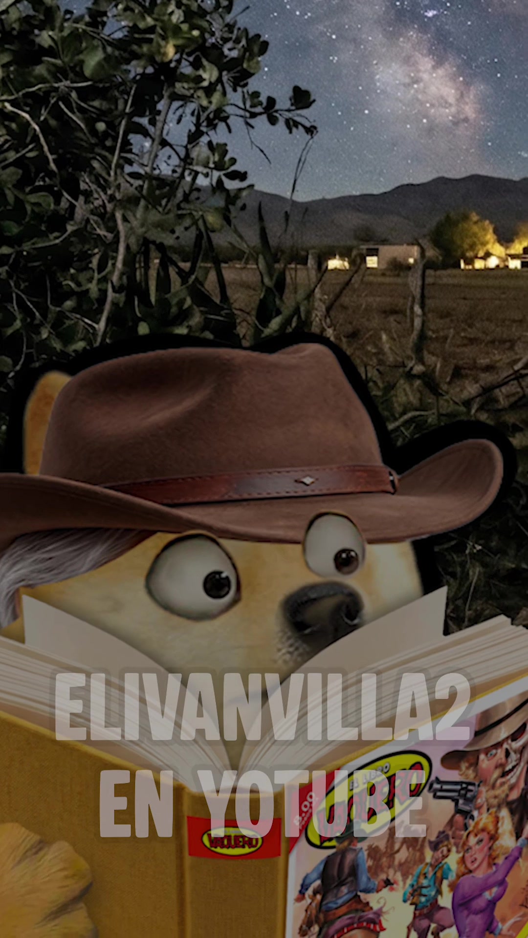 @elivanvilla