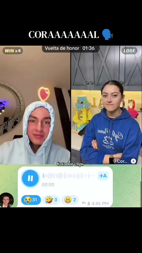 @Catador Clips 🐿️
