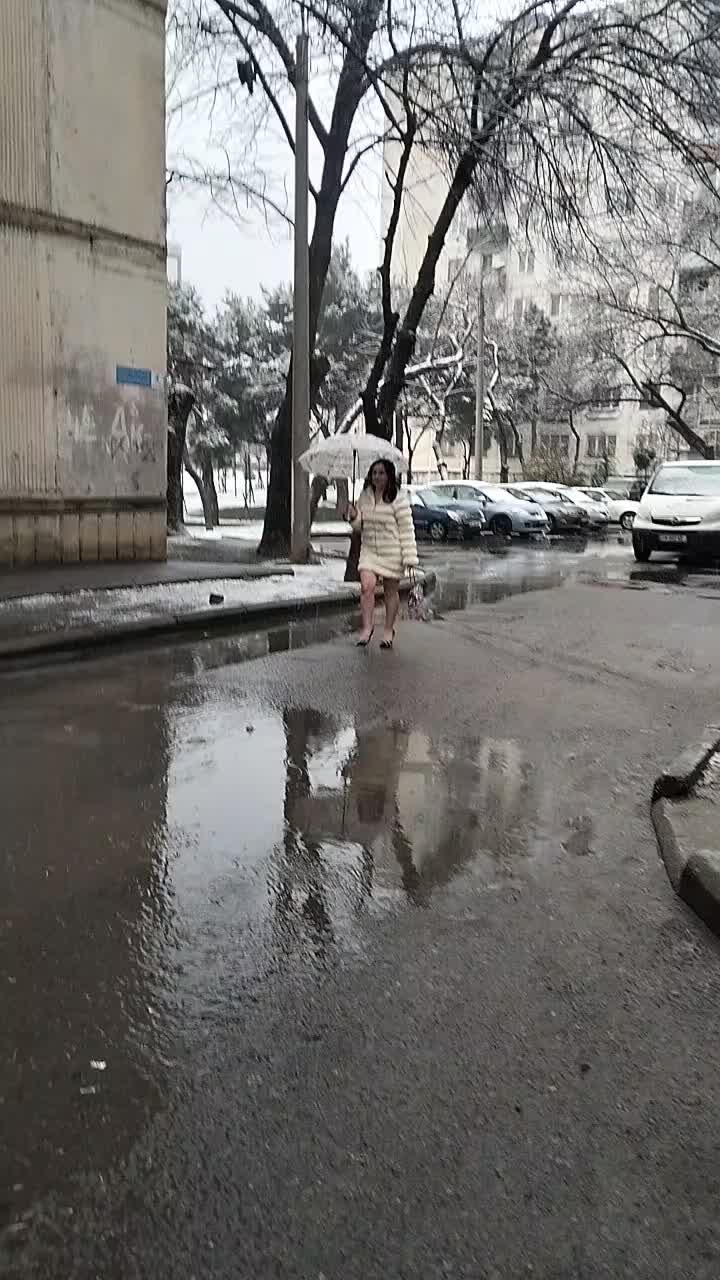 @Ilona Gegenava