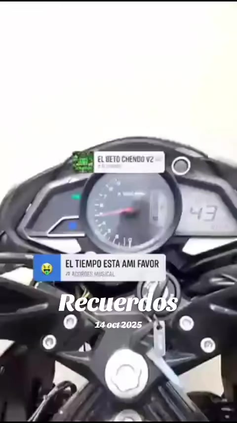 @Chucky 502