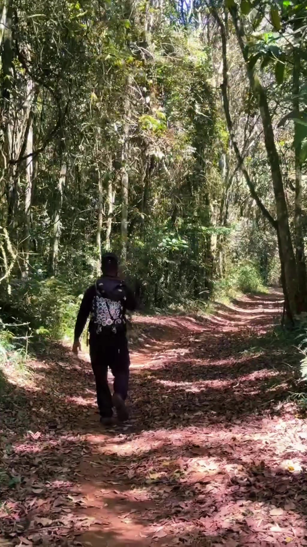 @HikinG_GiantS