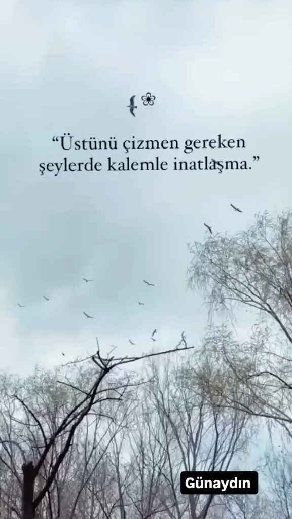 @Berk Özgür