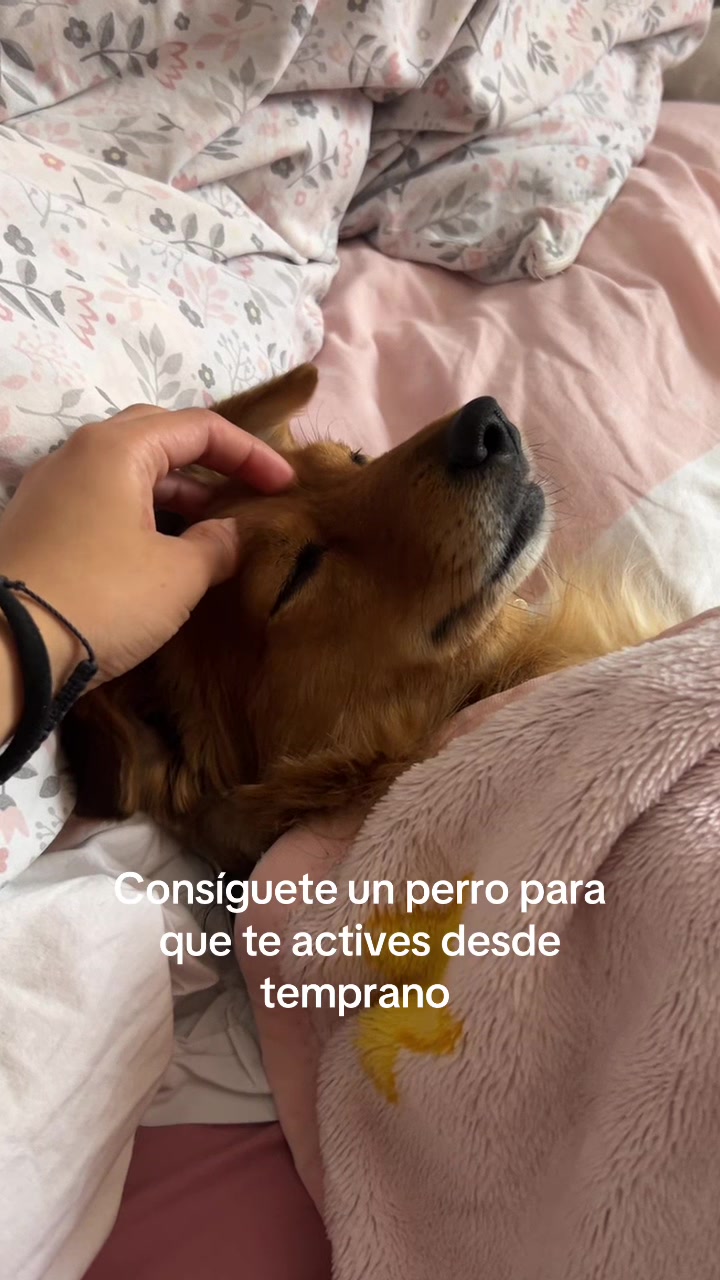@Ingrid Montoya