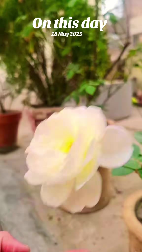 @سچیاں گلاں