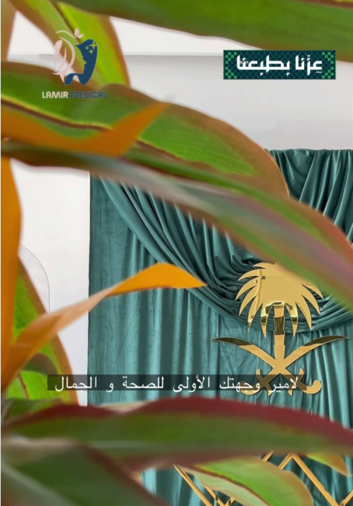 @مجمع لامير الطبي بيشة