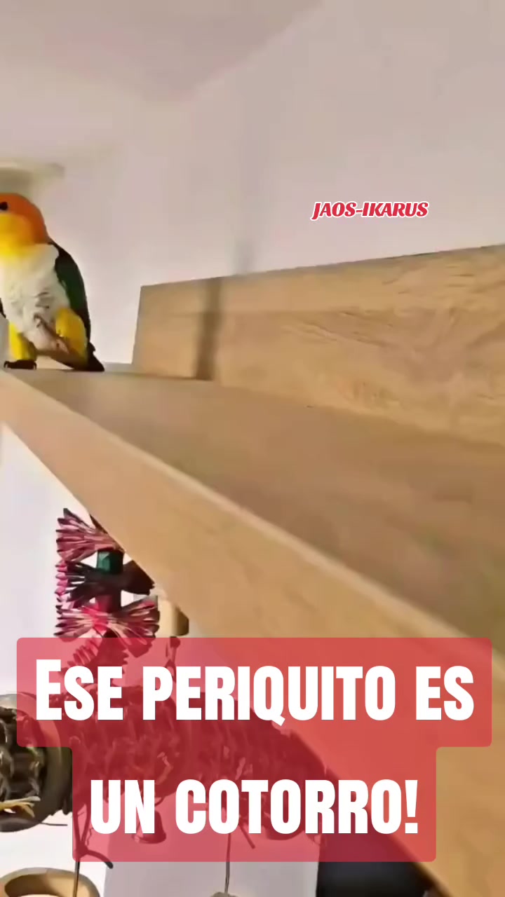 @JAOS-IKARUS