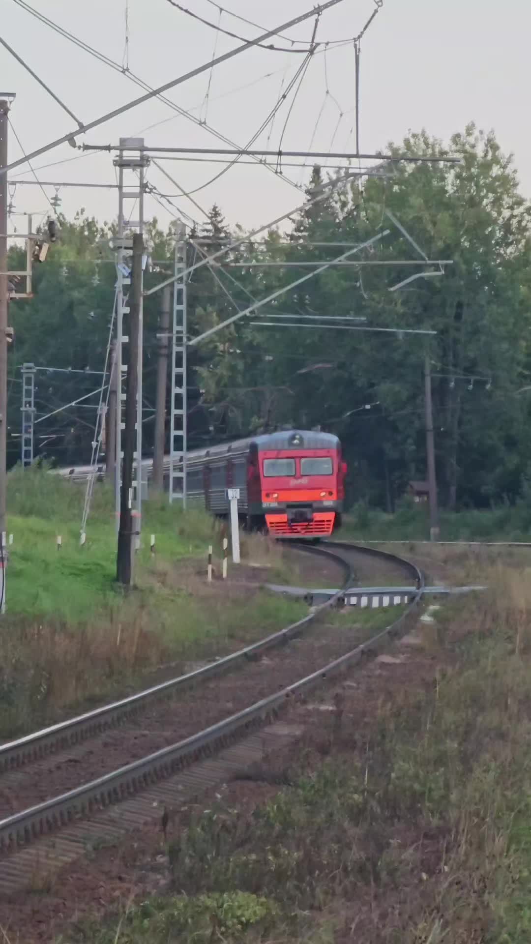 @train_rus