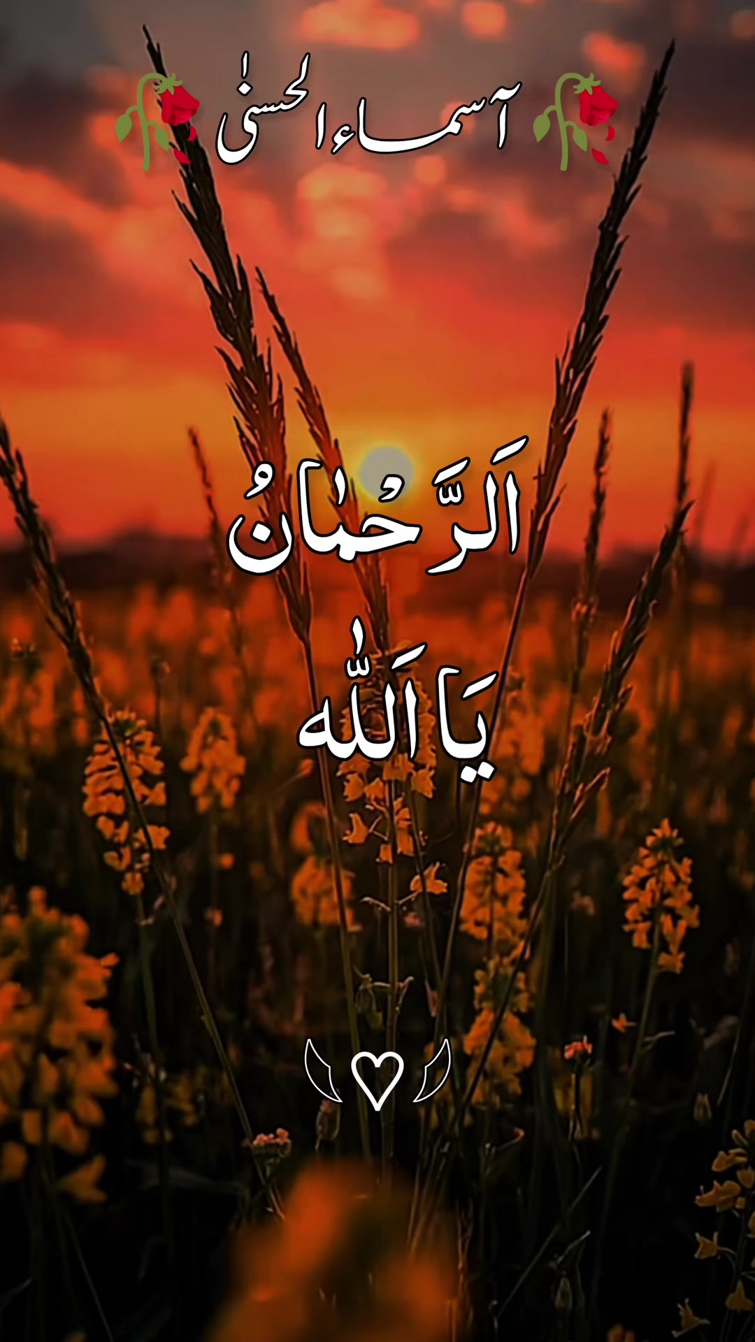 @❣️ Words of Allah ❣️