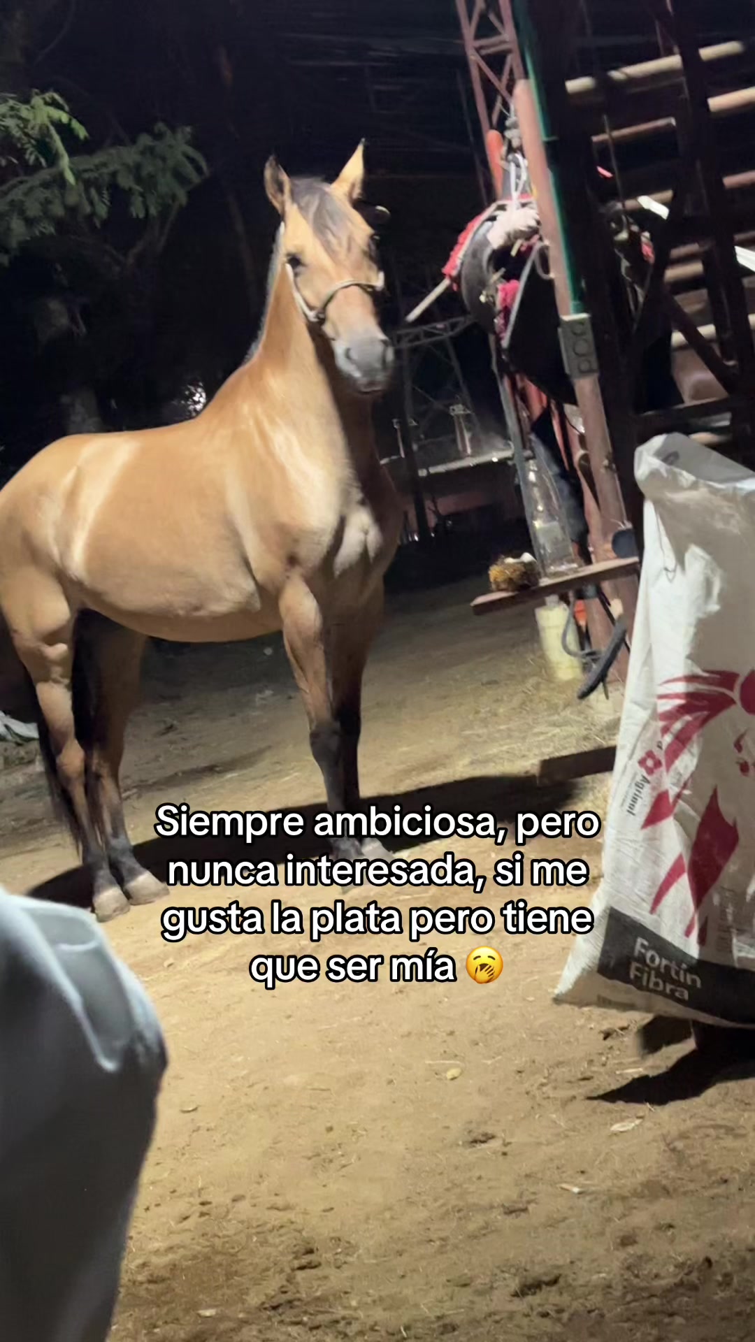 @Valeria Castañeda