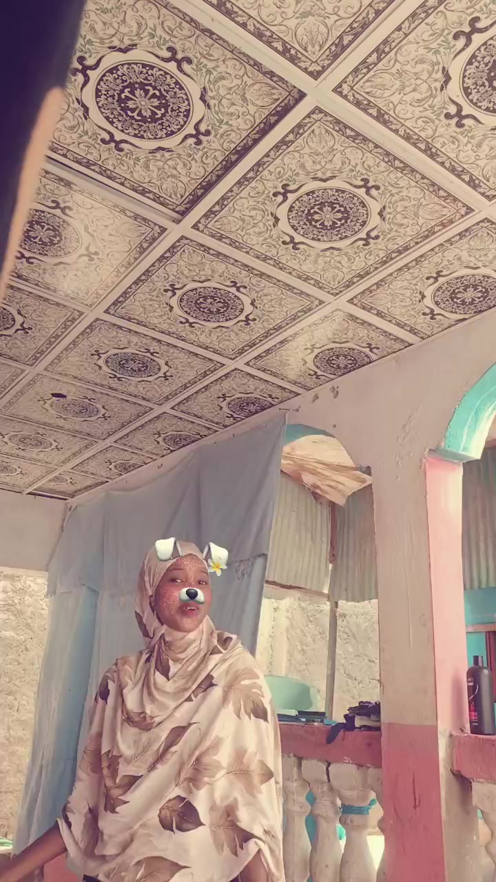 @Love birds somali A ~H