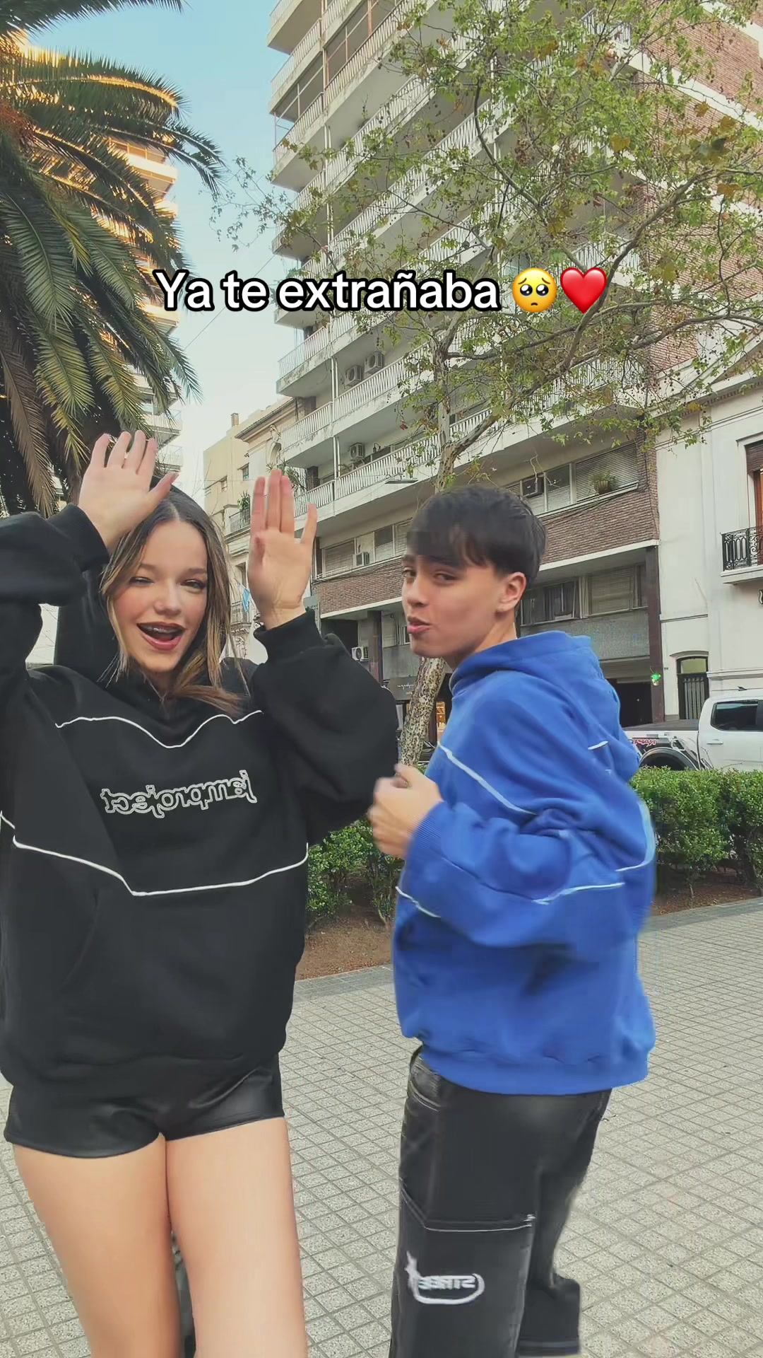 @dylaan 🕷️