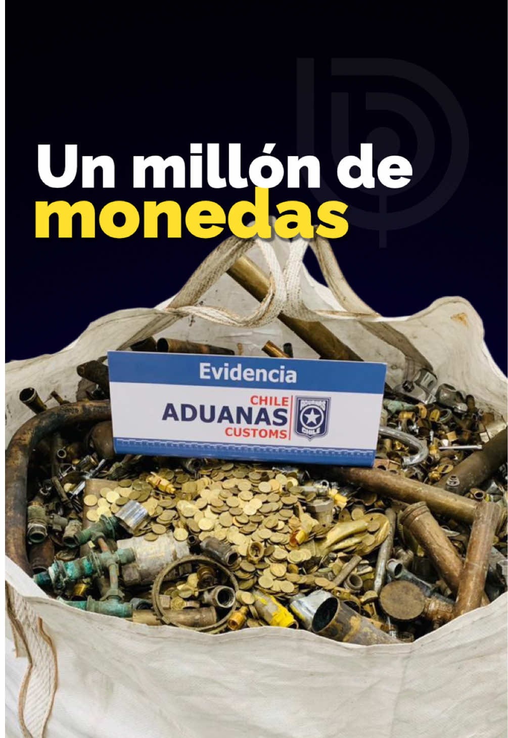 @BioBioChile