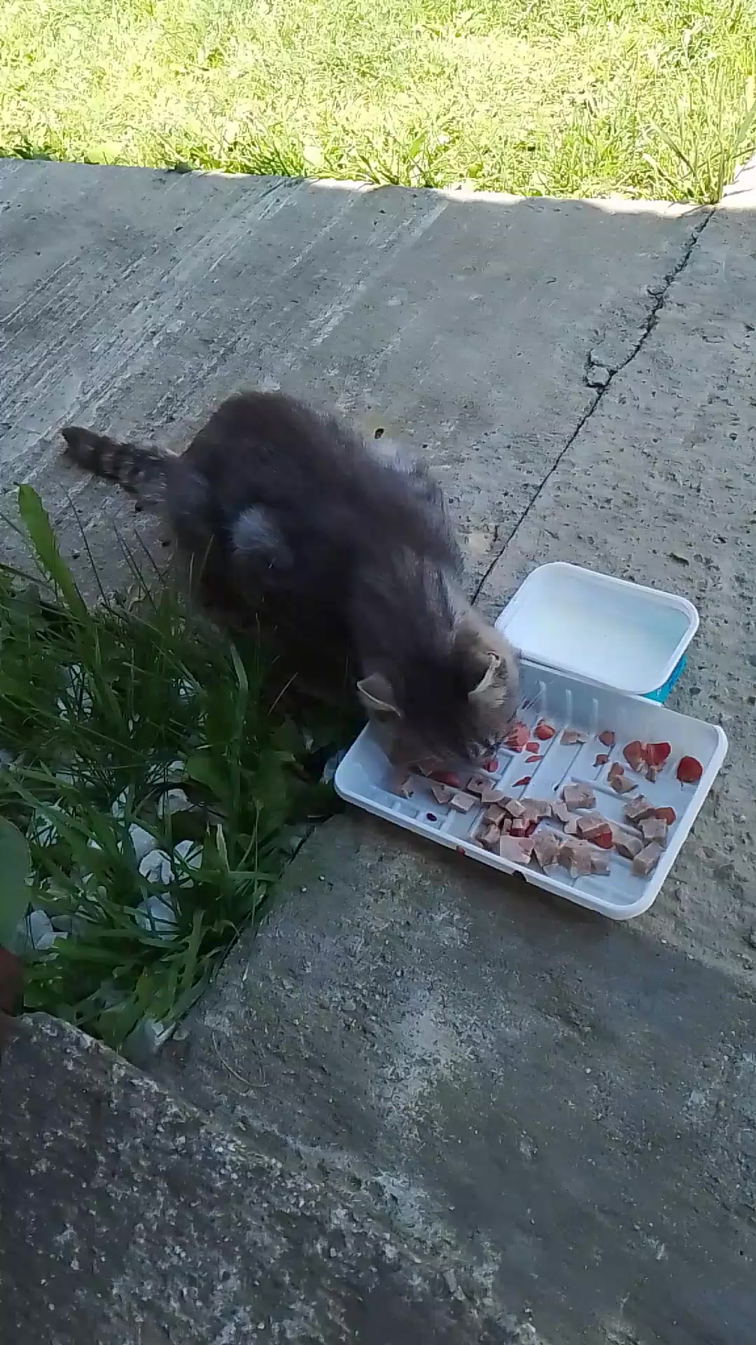 @Инна Крисанова