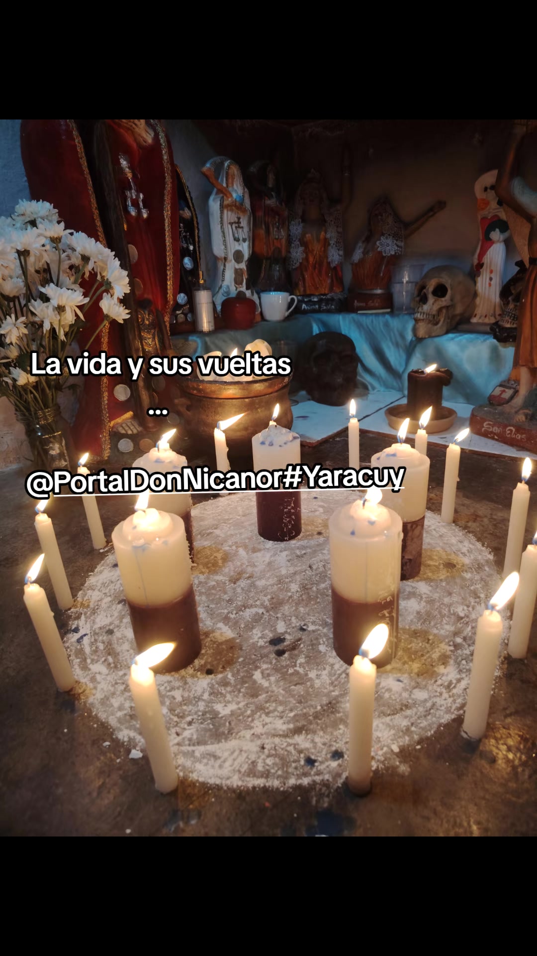 @Portal Don Nicanor #Yaracuy
