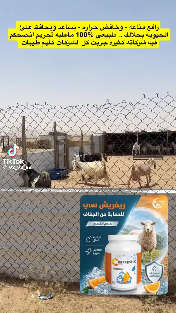 @mohamed_ksa0