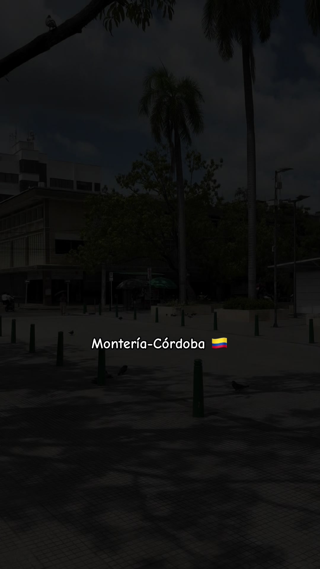 @EiverBaqueroContenidos