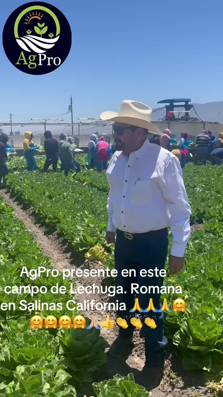 @Piedad Ayala