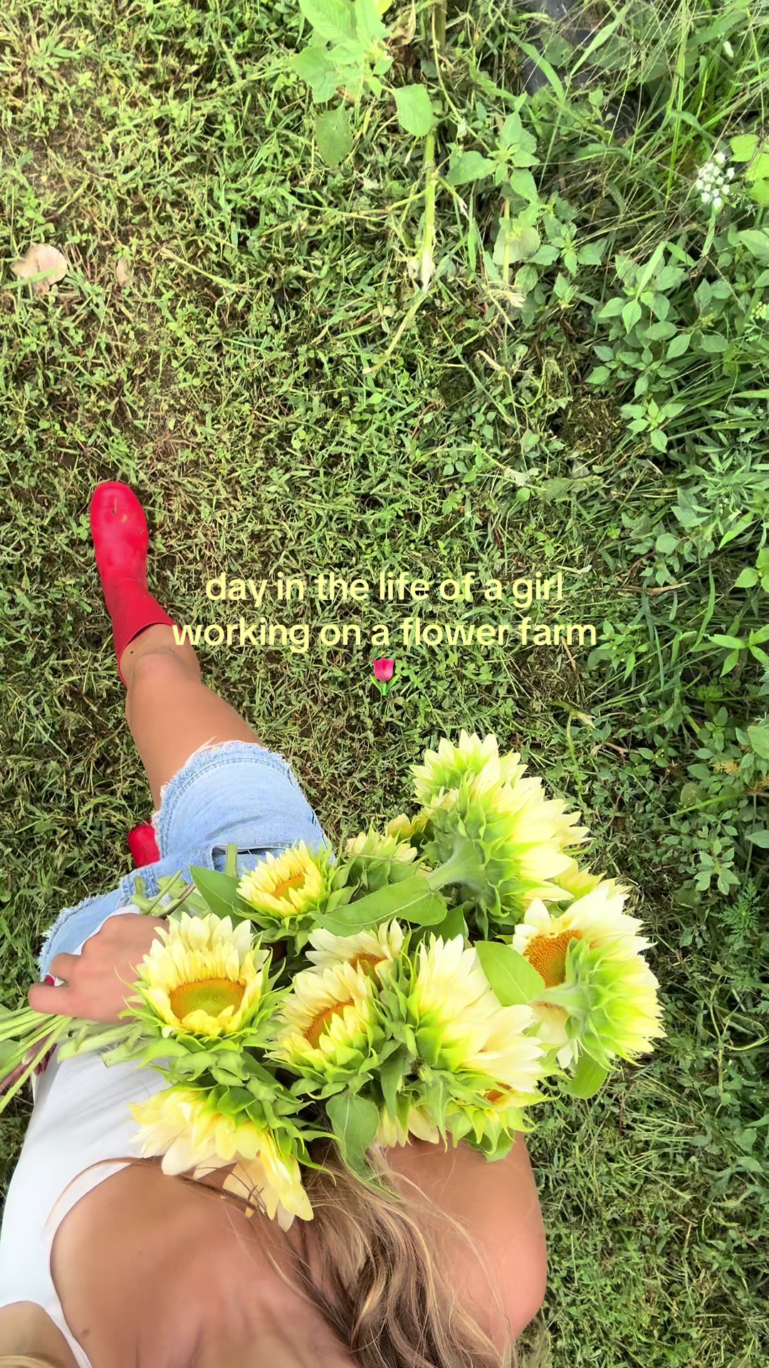 @โ from bella, with love โ
