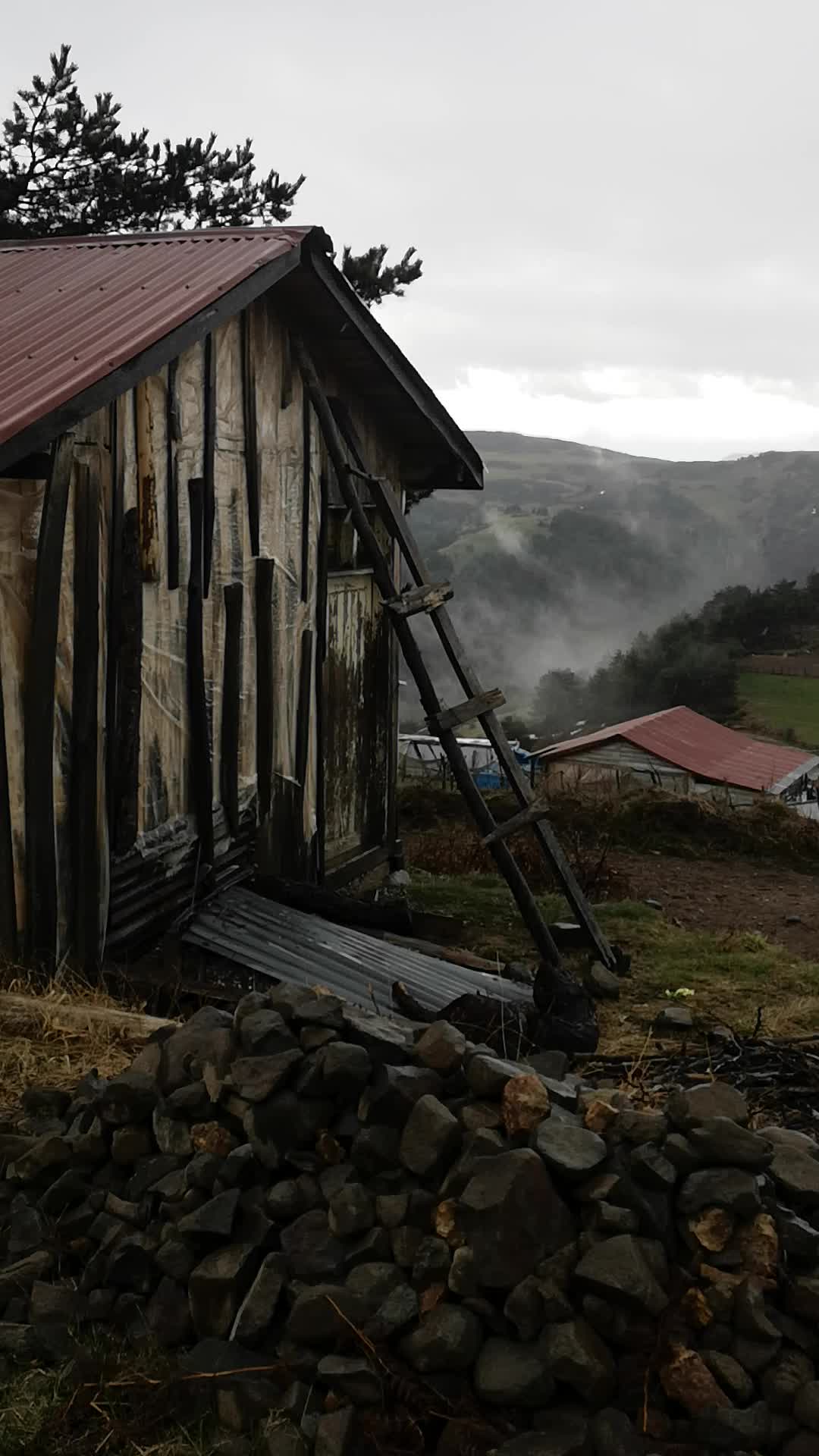 @Zoğa