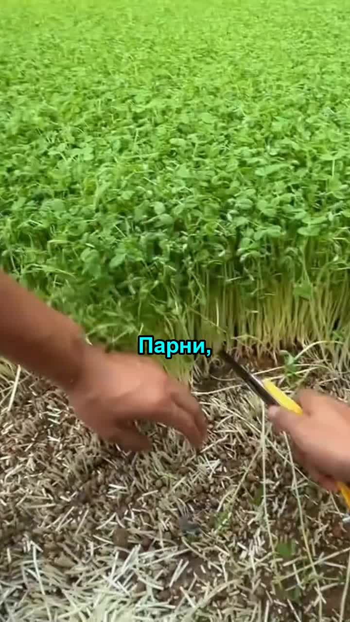 @unikdrop