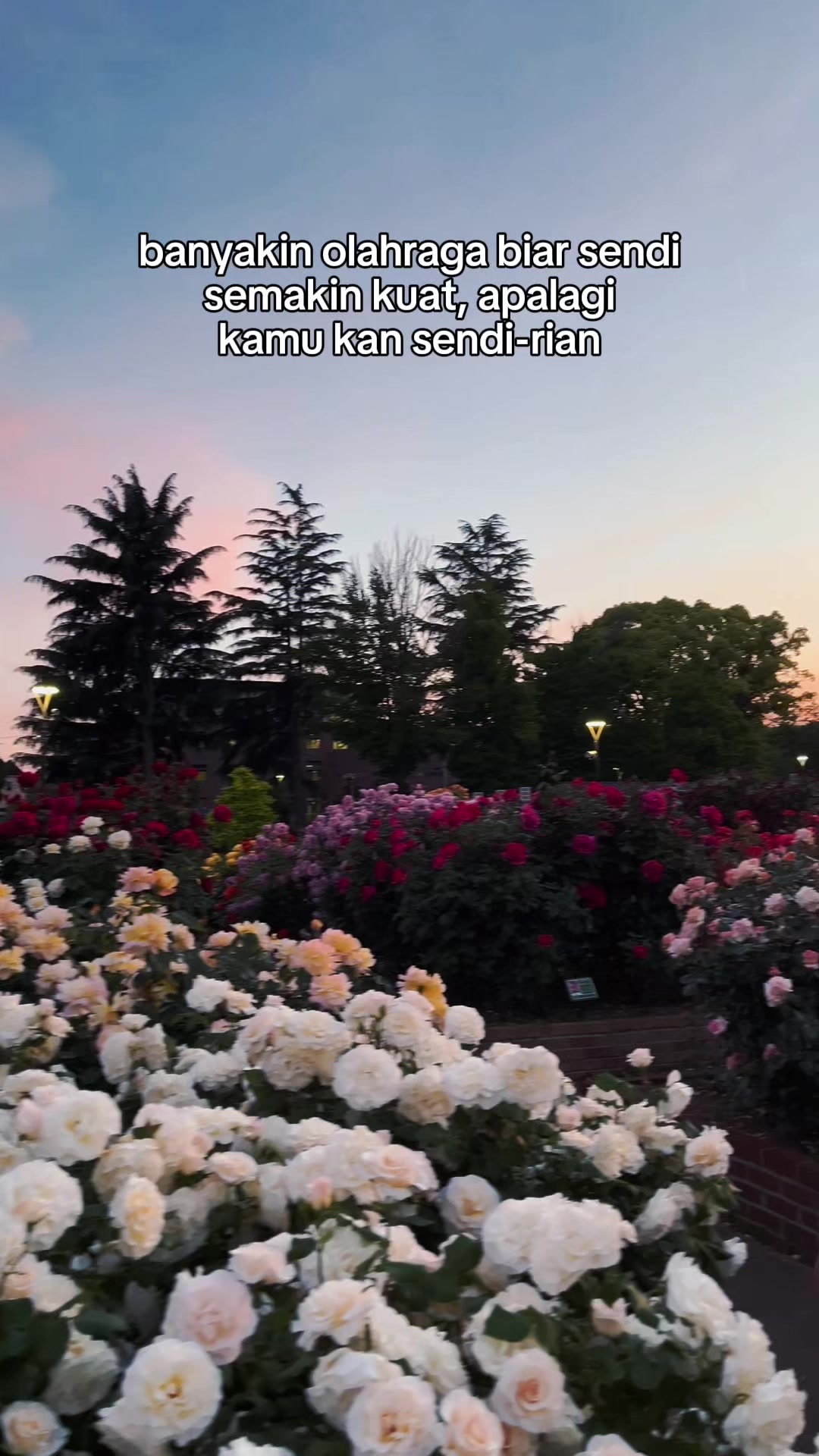 @Dea