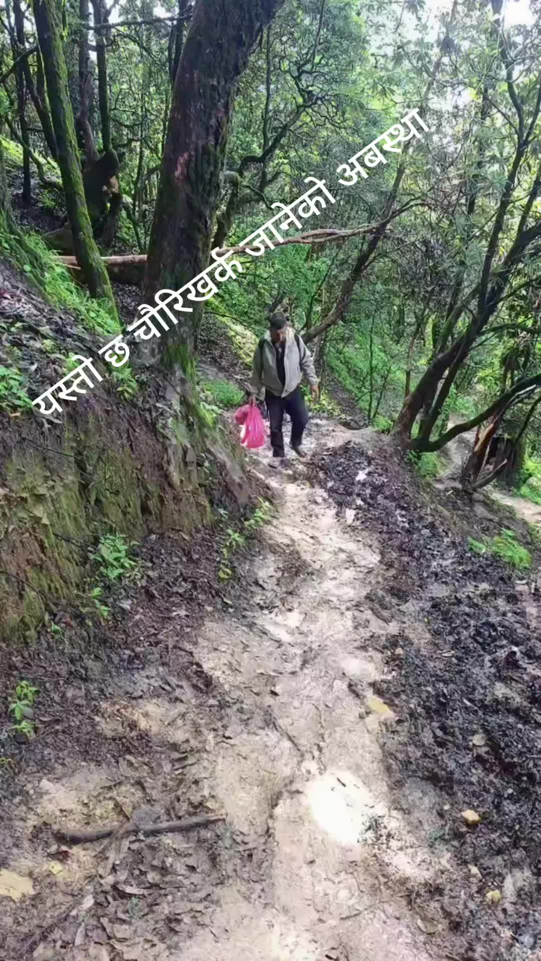 @ambikaambika7213