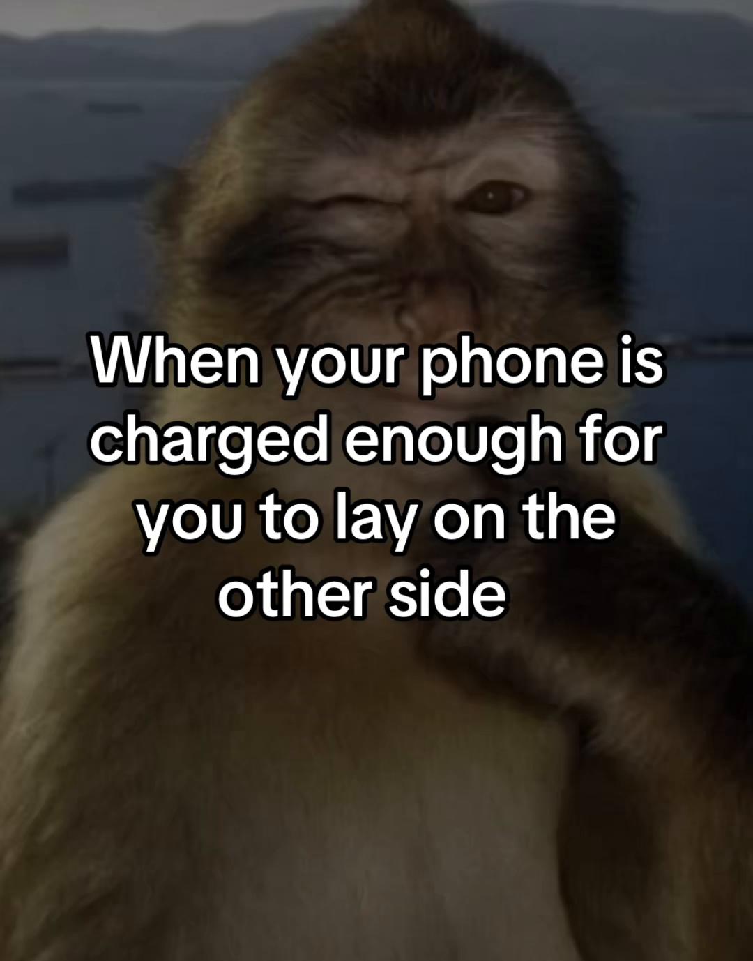 @Jordy🪽