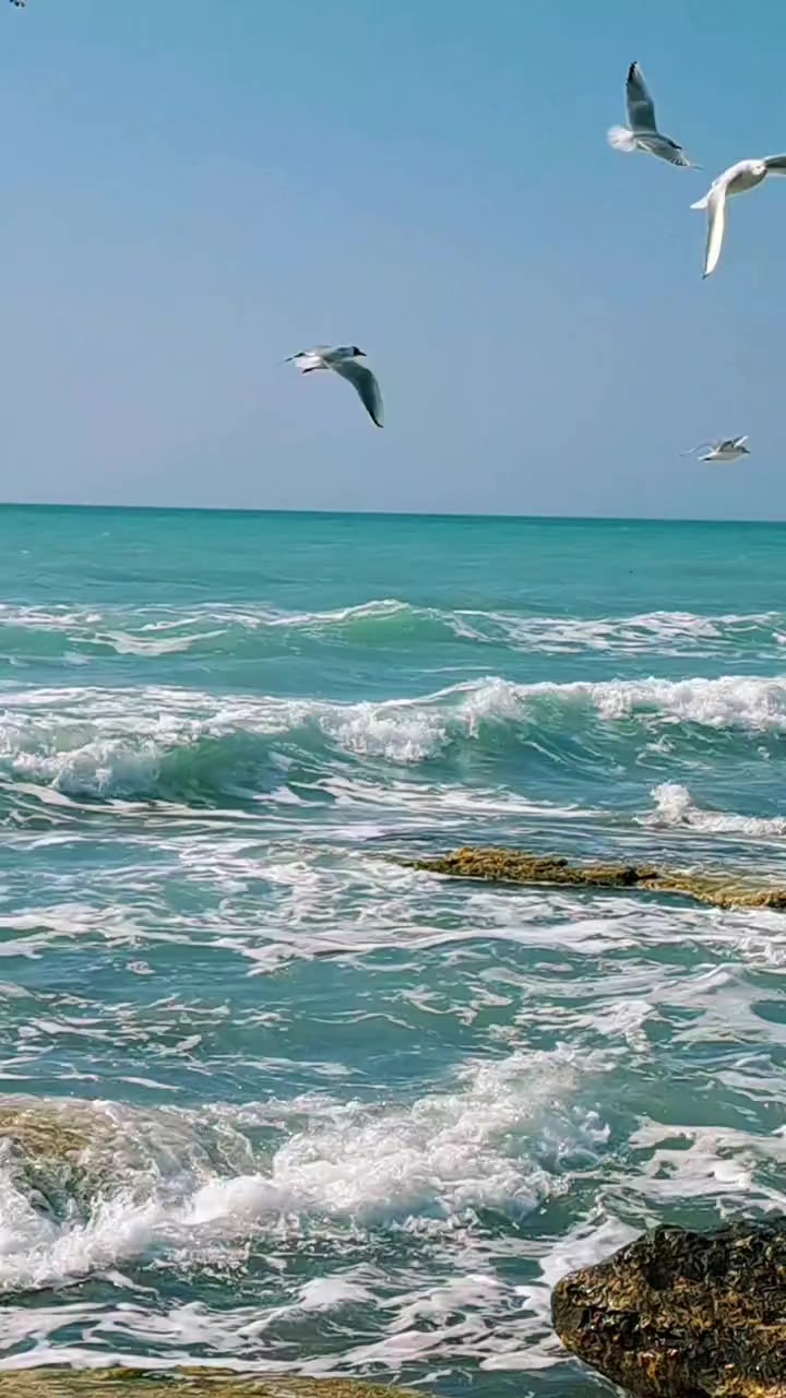 @Kır papatyası 🌼💮🌸🍀🌹