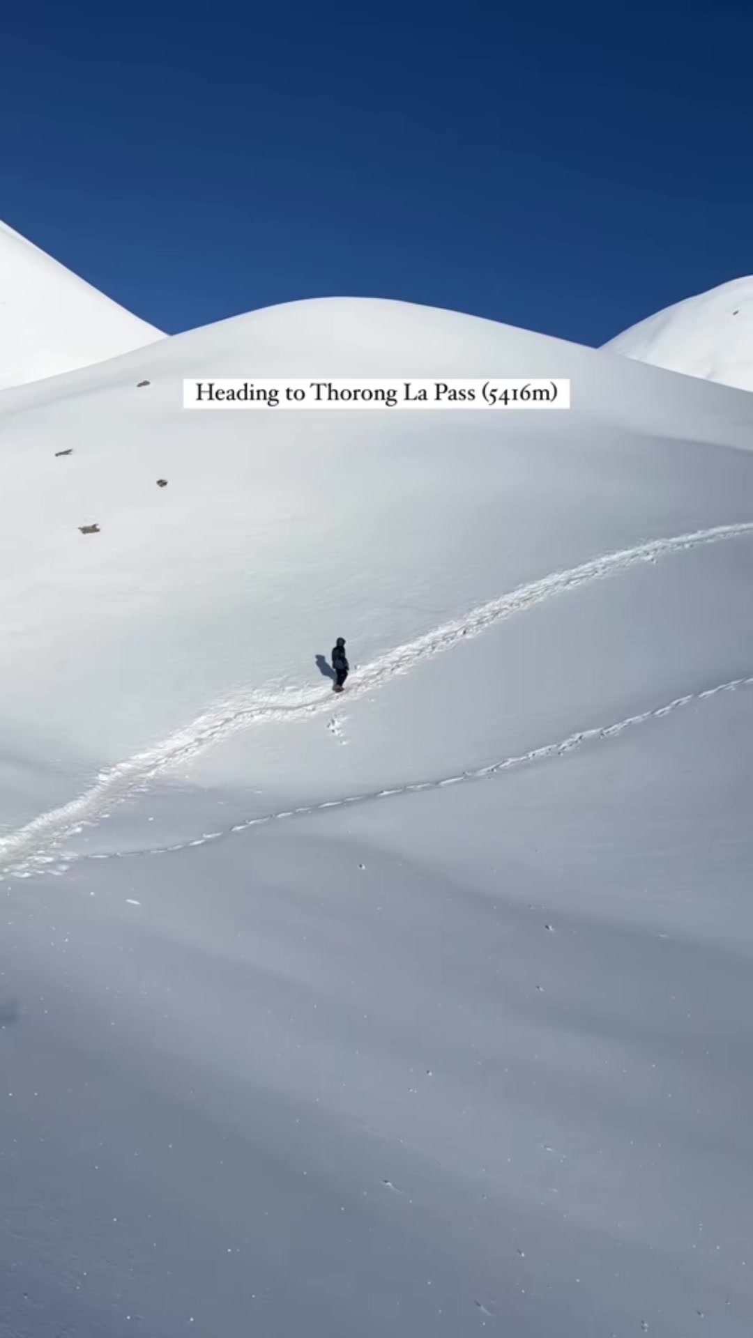 @Nepal Mountain Guides 🇳🇵