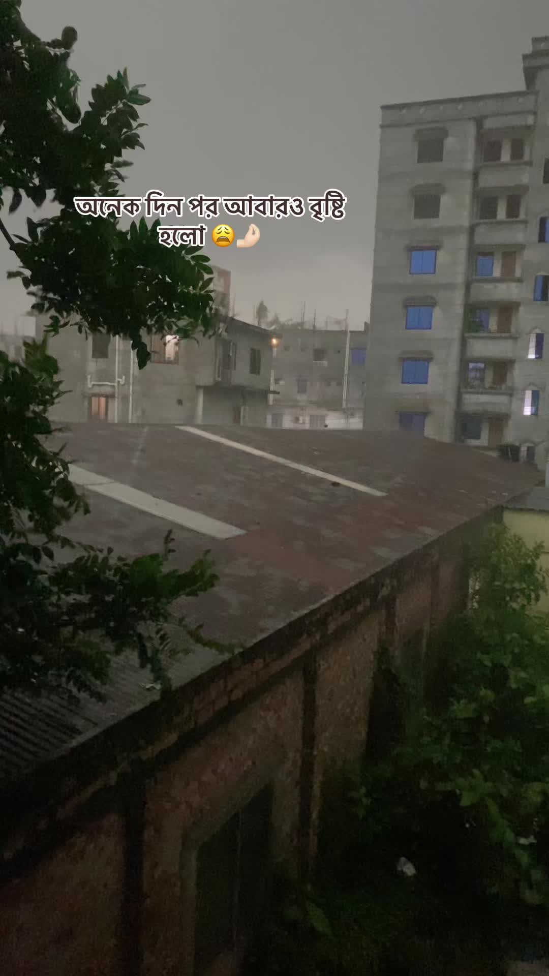 @👻ভন্ড আফা 👻