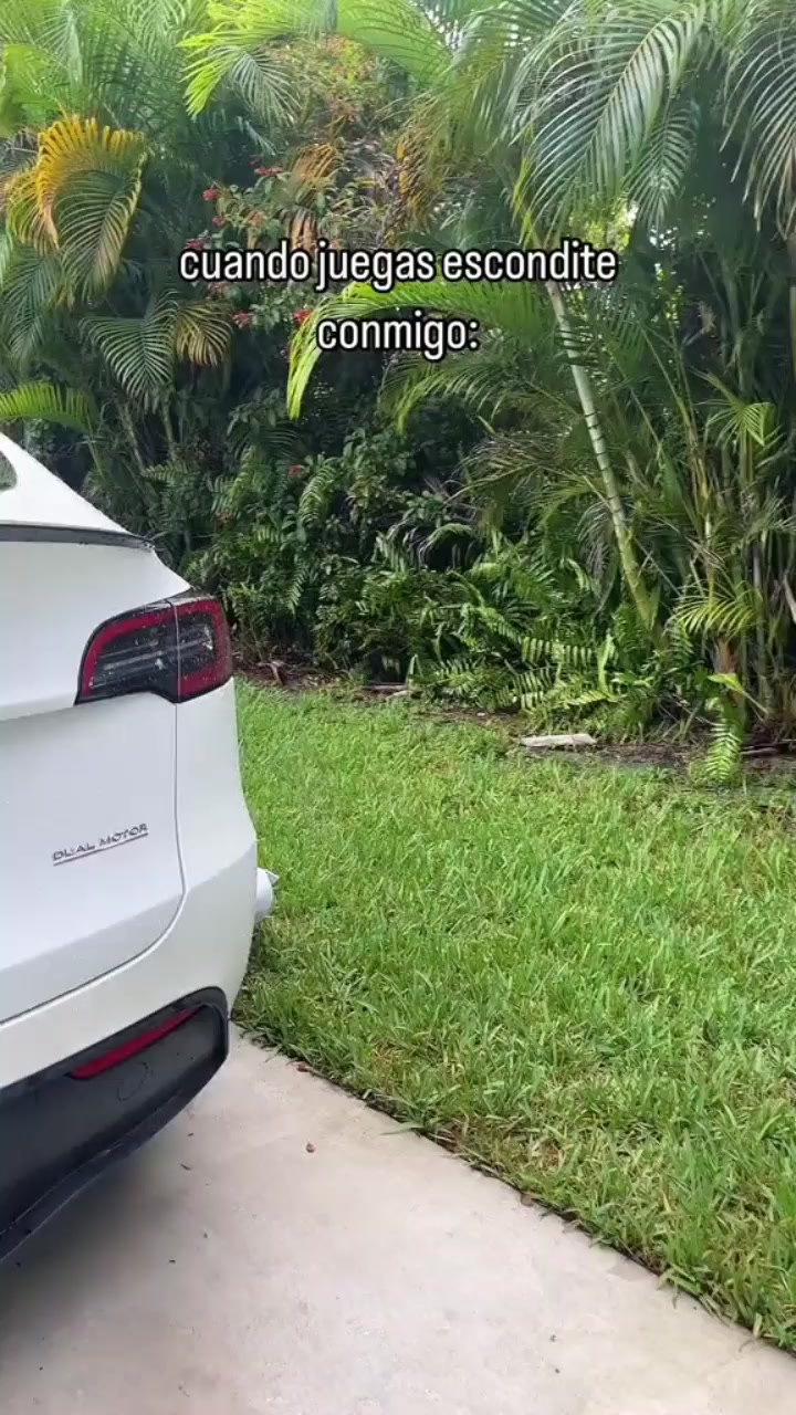 @hectorcatrileo81