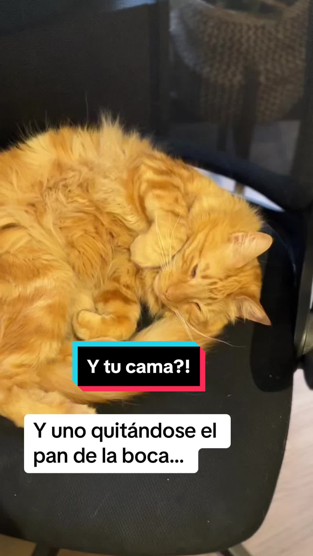 @Manu