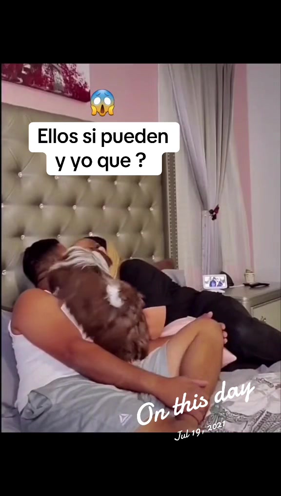 @Oreo & Cookie