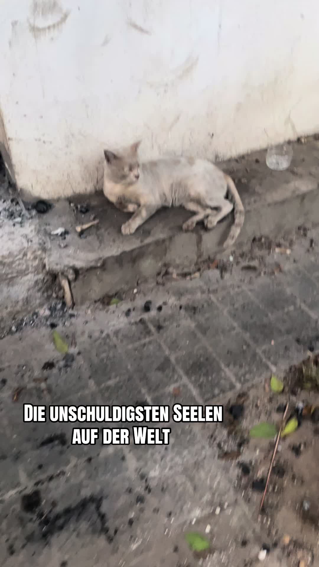 @𝐈𝐝𝐫𝐢𝐬🐦🔥