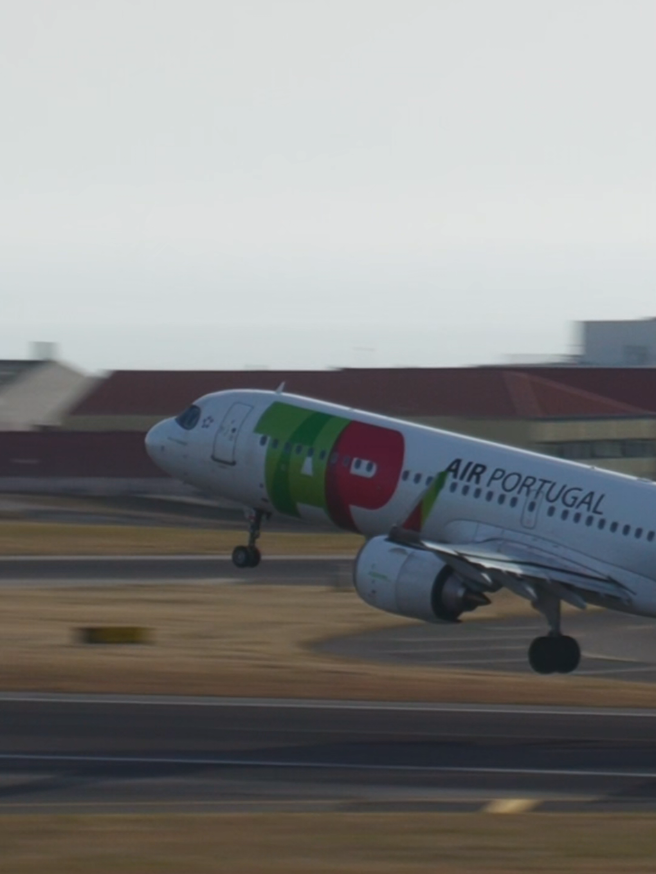 @Lisbon Spotting