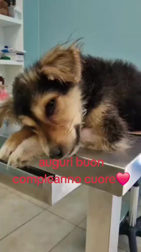 @Maria Rosaria Natill