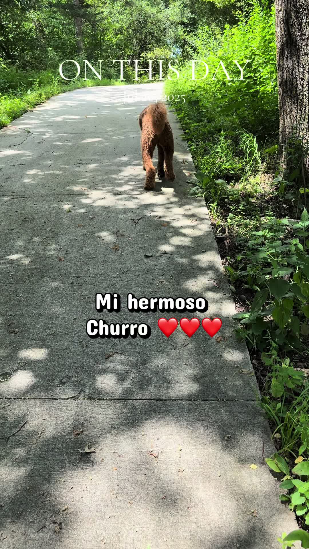 @Reyna y Churro 🐶😍