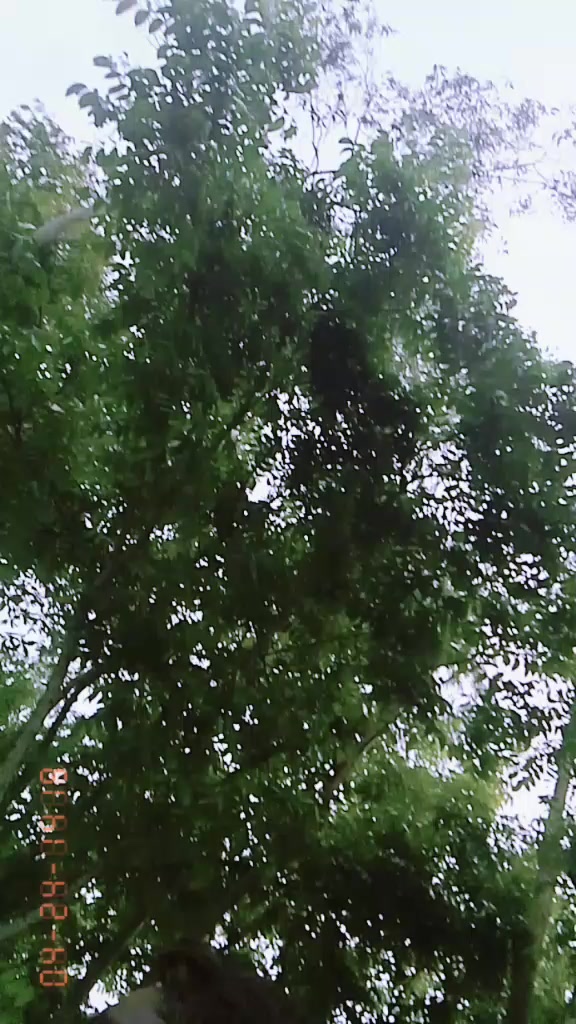 @মোঃ বাবলু হাসান