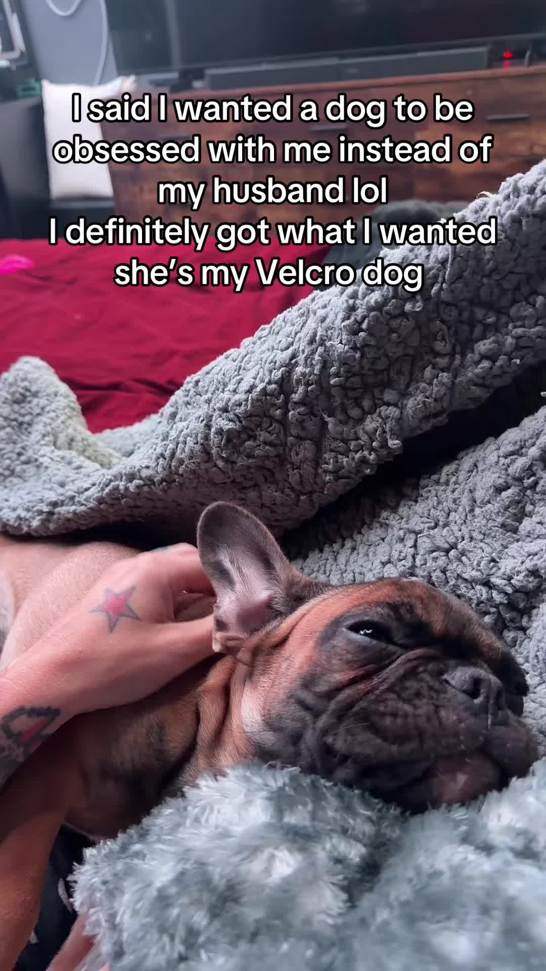 @Bambifx