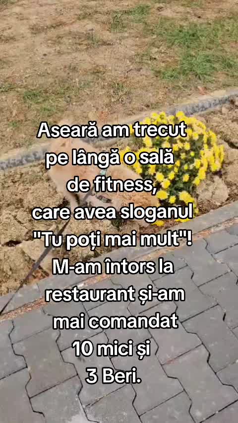 @Luk