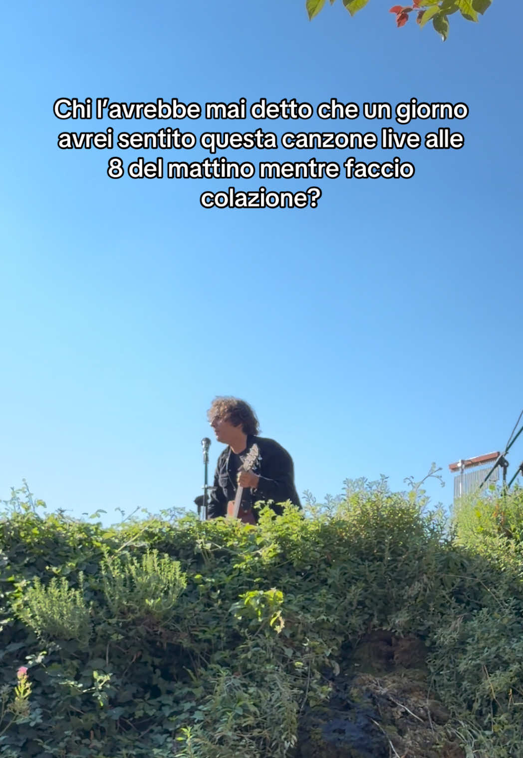 @momusso