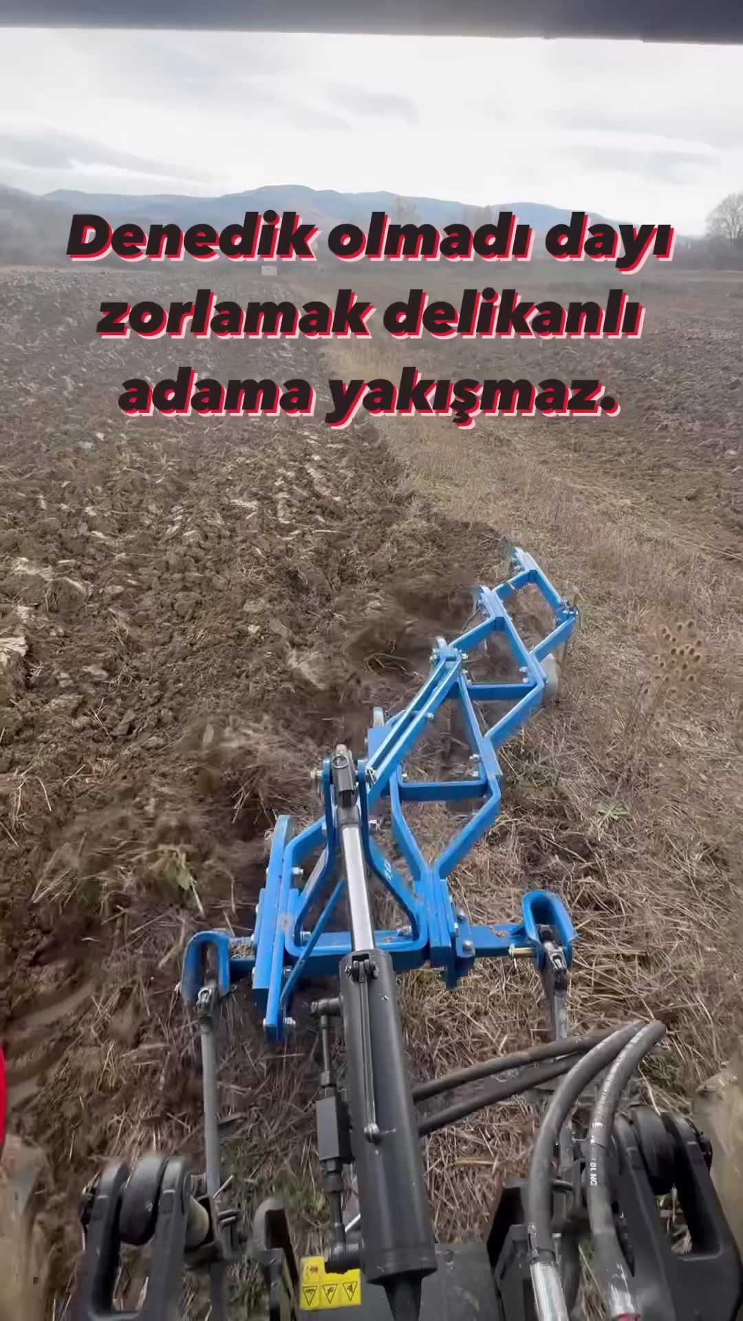 @🦅