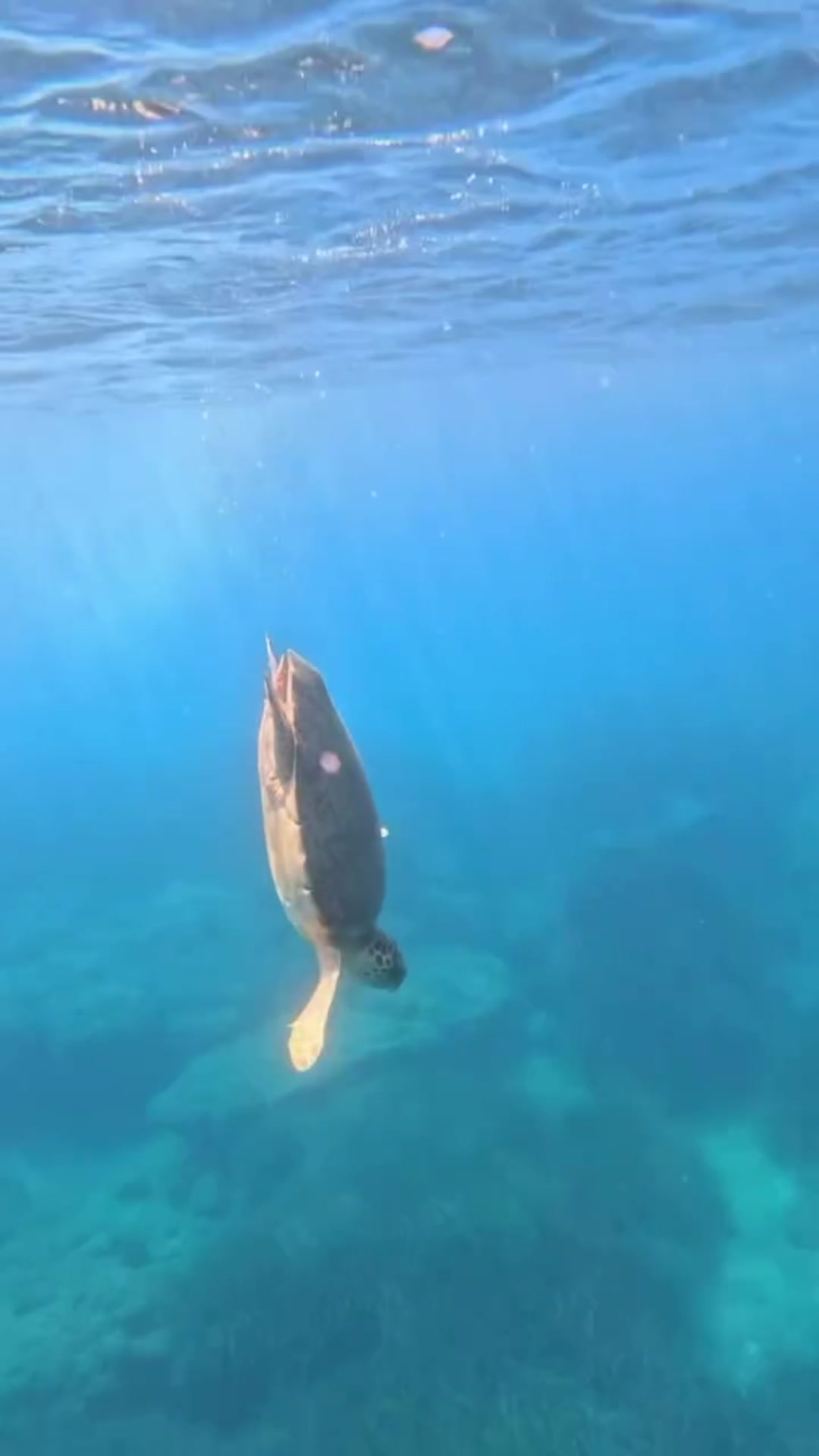 @Zakynthos