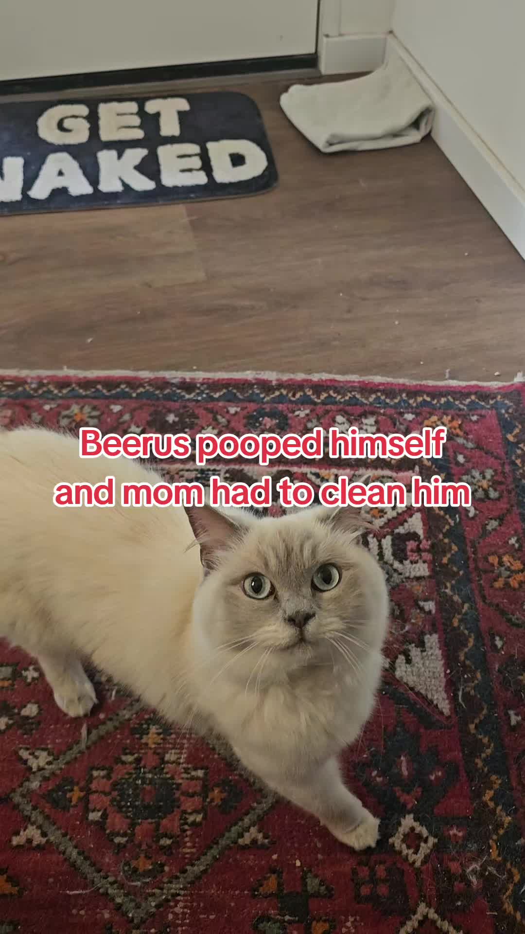 @peachandbeer