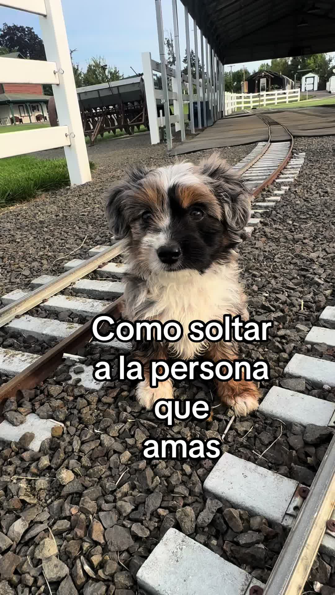 @pablocarbajal63